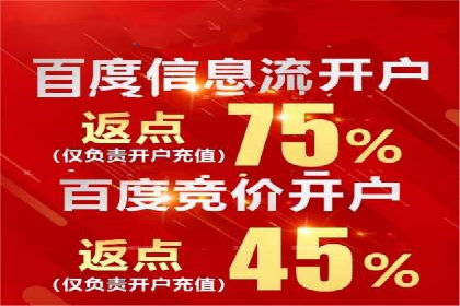 精准投放，高效转化——SEM竞价优化案例集